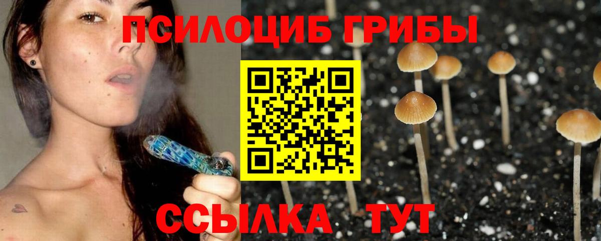 Белогорск  Псилоцибиновые грибы Psilocybe  Вход с VPN 